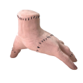 main-image-4-removebg-preview.png
