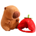 6-removebg-preview.png